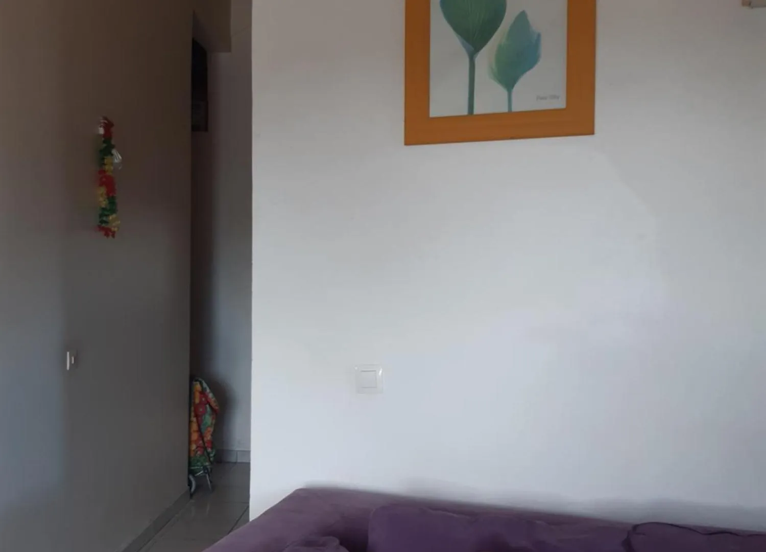 Appartement Eclat D'Orange Capesterre-Belle-Eau Apartment